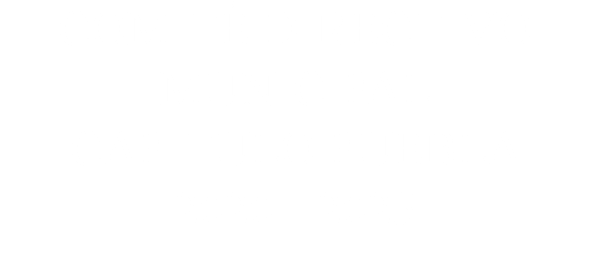 COMITÉ DIRECTIVO MUNICIPAL CAPITULO PUEBLA 2020 - 2025 